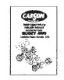 CARSON - ANLEITUNG BUGGY 1/10 - CS