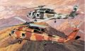 Dragon SH-60F NSAWC Top Gun 1:144