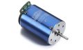 Carson Brushless Motor Shooter 8T sensorlos